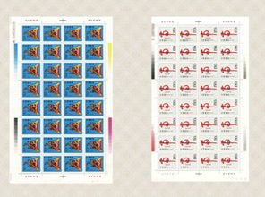 九转功成指的是哪个生肖？九转功成对应哪个生肖的长尾？