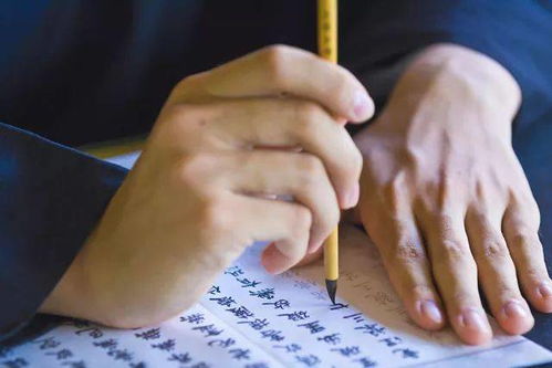 客观评估自身的能力与局限