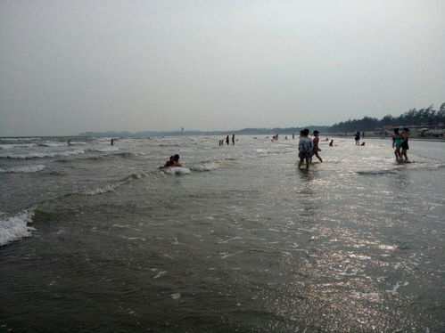 沙滩上的“野生”派对 (和醉酒的游客)