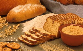 （一） 饮食规律：顺应天时以养正气