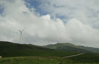 惯与交通：我愿称之为“生存挑战赛”