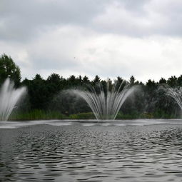 2. 净月潭：水库+蚊子=完美组合