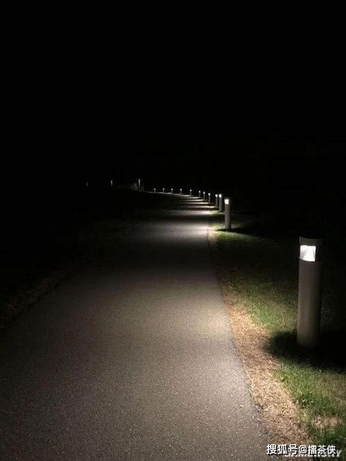 心理状态学视角下的人类幻觉机制探究探讨