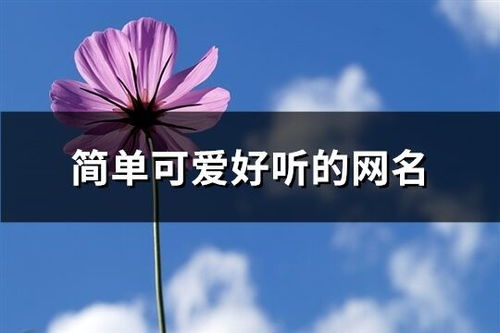 探寻个性与吉祥：生肖星座网络名字指南 (啊，这标题起得真气派!)