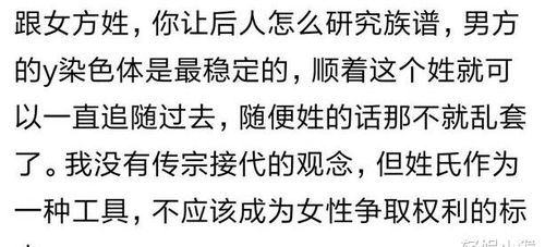 二、 光学机制：阴影形成与镜像反射