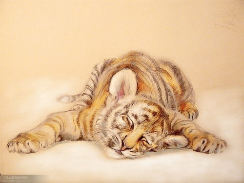 ：惯与起名的那些事儿， 乱七八糟的