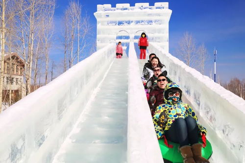 东北那旮旯，冷得让人想骂街