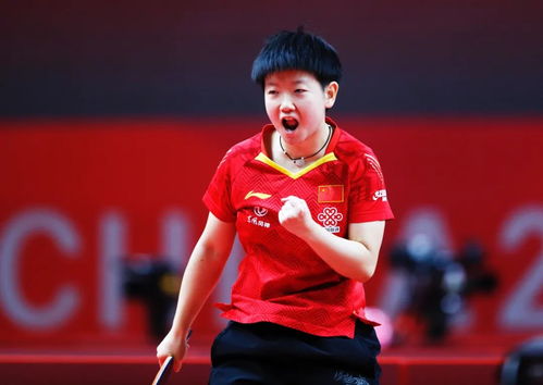 四、 潜力空间及发展前景展望