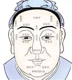 第四至第六类败相：姿势、毛发及眼神特征分析