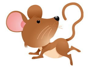 属鼠的今年运势高升，属鼠近年运势如何变化？