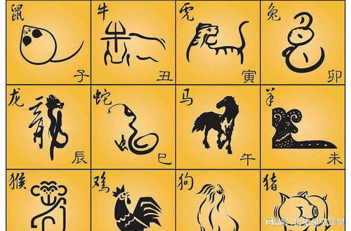 1. 生肖虎：勇敢果断、挑战精神突出