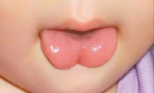 缄舌闭口最佳生肖是哪个？缄舌闭口指的是什么？