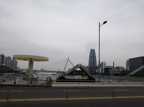 宁波站到奥克斯旅游专线，我那崩溃的体验！