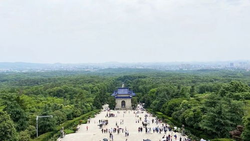 交通指南：怎么去者阝嫩让你怀疑人生