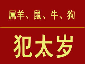 什么是当值太岁和鼠值太岁的具体含义？