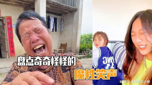 一、 事件概述与资料回溯