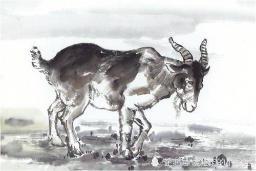 摆件大作战：让钱包膨胀起来