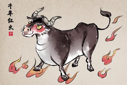 2021年出生属牛的孩子命运如何，属牛的男孩命运特点是什么？