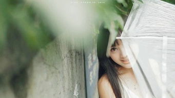 伤感文学的魅力