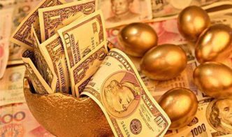 1.3 光照有度：避免直射阳光以护生养旺