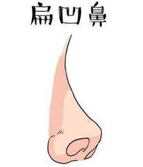 一、 怪性鼻：性格乖张与运势阻滞的二元映射