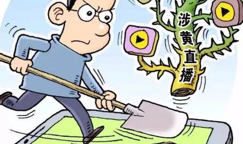 书房布局——提升学习了解效率的结构性要点