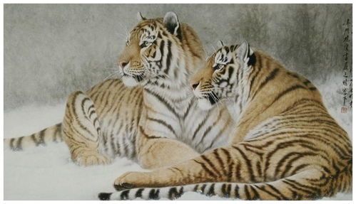 属相虎佩戴虎生肖是否合适，属虎的人可以戴虎形饰品吗？