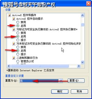 1.1 传统 DNS 请求的传输模式及其局限性