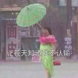 1. 水元素配置：魚缸與風水球之功能比較