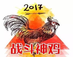 200鸡年15岁的人现在多少岁了？