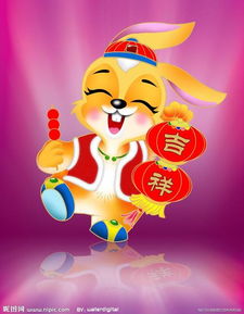 鸡年属兔人的财运和属兔水瓶座今日财运有何不同？