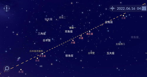 女性命盘中11宫若出现天王星或海王星，具体代表着怎样的影响或含义？