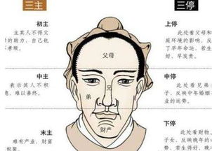 一、 面相学：一门古老的智慧