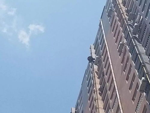 外部环境的风水影响