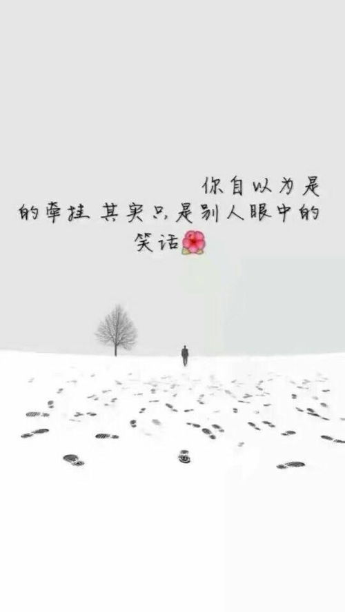 一、 生肖智慧：顺应天时地利与人和