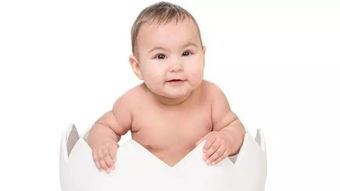 5. 鸡年宝宝起名禁忌（继续加料）