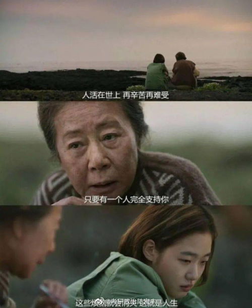 真实相的揭露