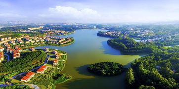 交通就是场噩梦！导航都救不了你！