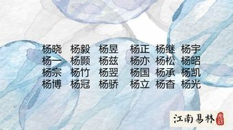 2026年杨姓男宝宝取什么名字好？有没有什么寓意美好的名字推荐？