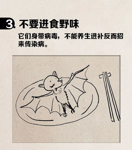 第二章：寻求化解路径的多维策略与筛选机制