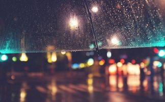 如何查询我的星座灵魂伴侣是哪个星座？