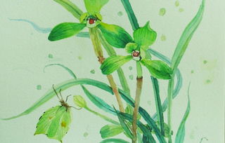 今日农历二月十六，这个日子是否适宜作为吉日呢？