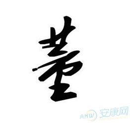 董姓女孩摄影名字大全里有没有什么好听的推荐呢？