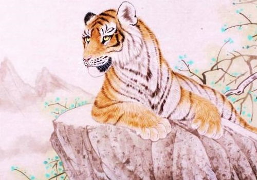 农历11月出生属虎的人缺什么命，农历10月出生属虎的人是什么命？