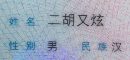 名字的音律：谐音梗带来的尴尬
