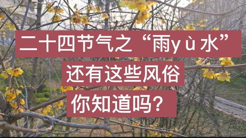节气习俗详析