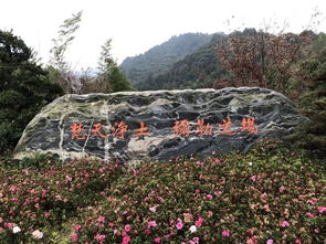 贵阳至梵净山：佛教圣地的宁静之旅