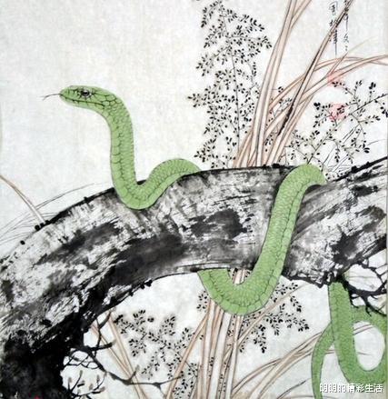 2026年属蛇人的爱情运势具体解析是怎样的？