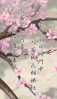 八字合多女命如何看桃花，桃花女算命书有哪些方法？