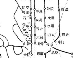 三、  星座能量分布及其对人格结构的形塑